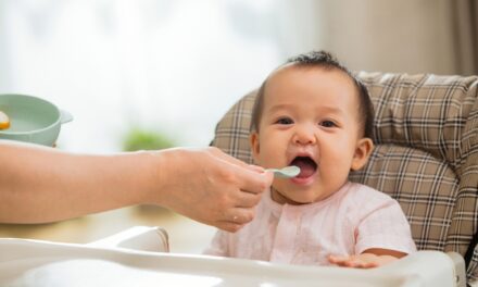 ¿Puede un bebé de 6 meses comer arroz?